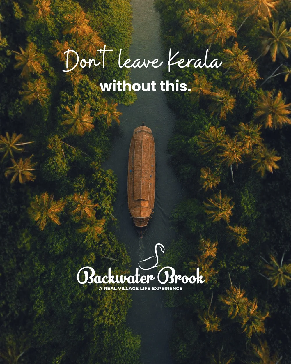 Backwater Brook campaign creative — Don't leave Kerala without this, aerial houseboat